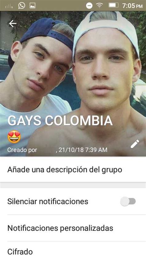 grupos gay whatsapp bogot|whatsapp gay en bogota